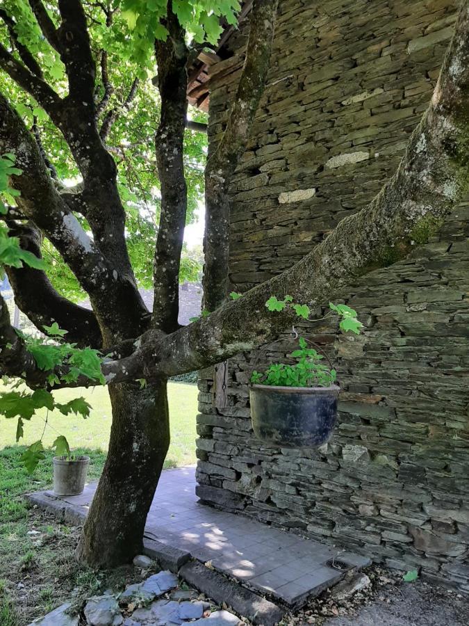 La Maison Des Marguerites Врес-сюр-Сьомоа Екстериор снимка